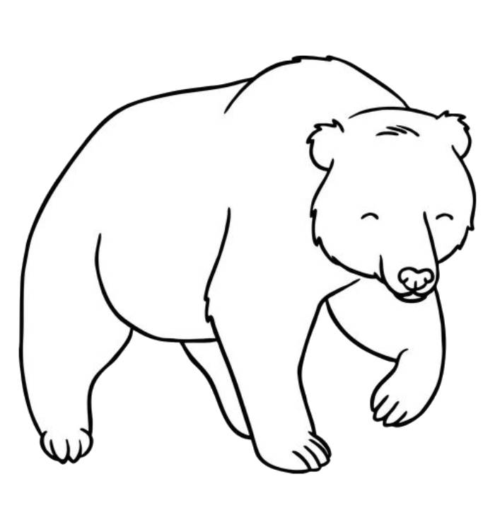 Bear Coloring Pages Free Printable PDF Bear Coloring Pages Free Printable PDF