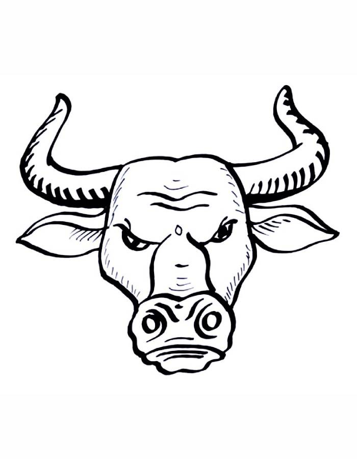 Bull Head Easy