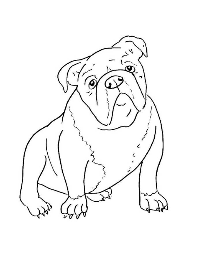 Puppy Coloring Pages (Free Printable PDF)