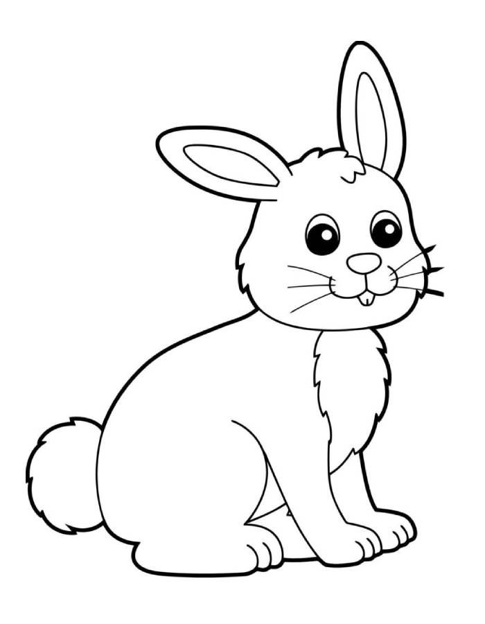 Bunny Picture Printable Coloring Page