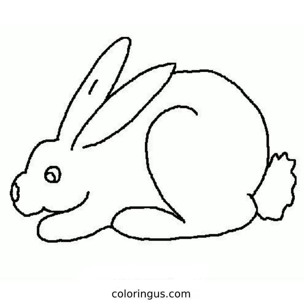 Print Bunny Rabbit