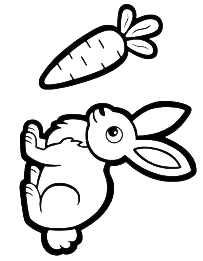 Bunny With Carrot Images Coloring Page