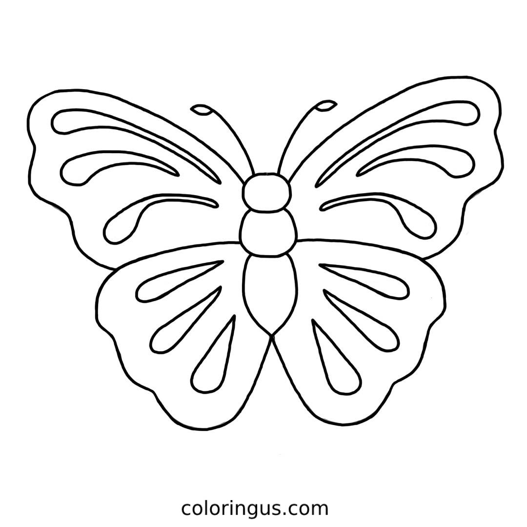 Butterfly Ideas