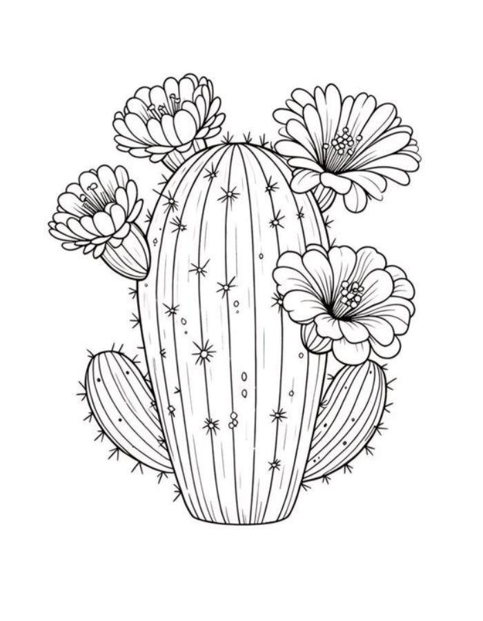 Cactus Color Sheet Coloring Page