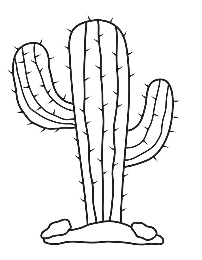 Cactus Drawing For Toddlers