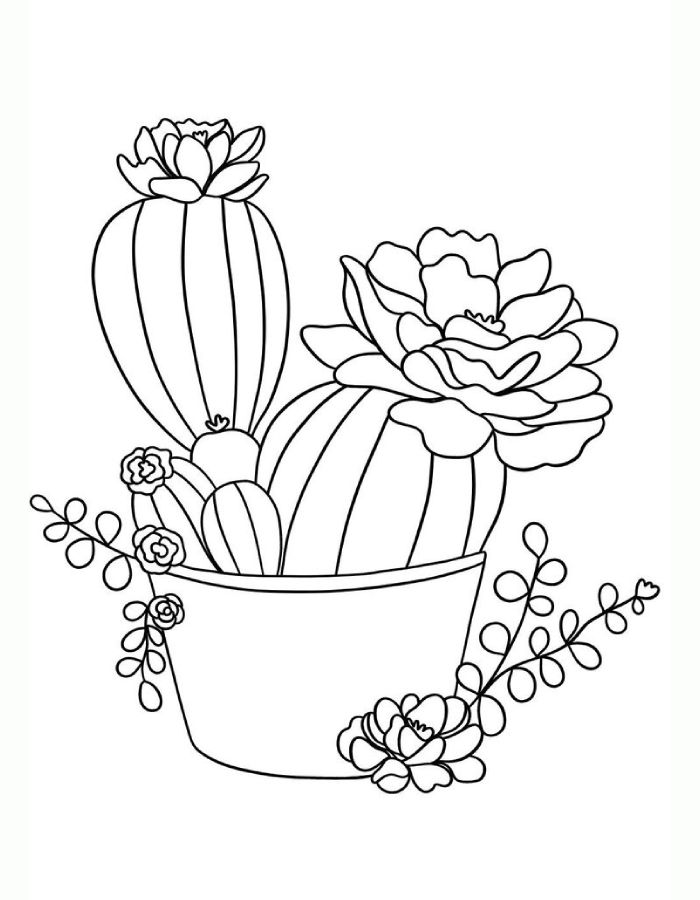 Cactus Flower Coloring Page