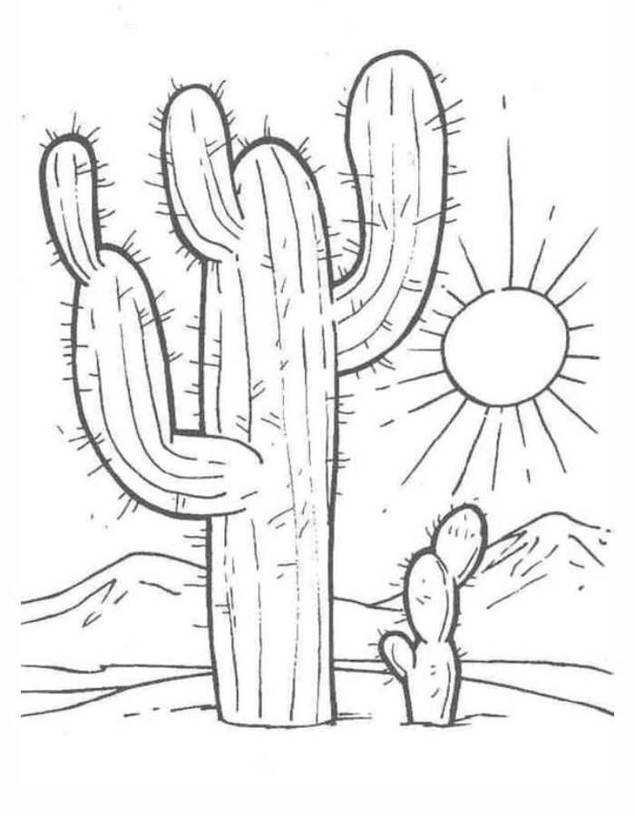 Cactus For Adults Coloring Page