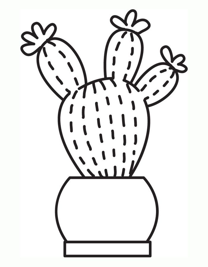 Cactus For Kindergarten Coloring Page