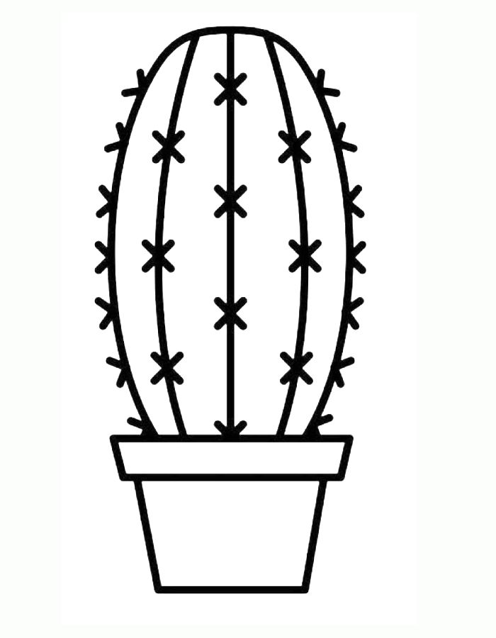 Cactus Line Art Coloring Page