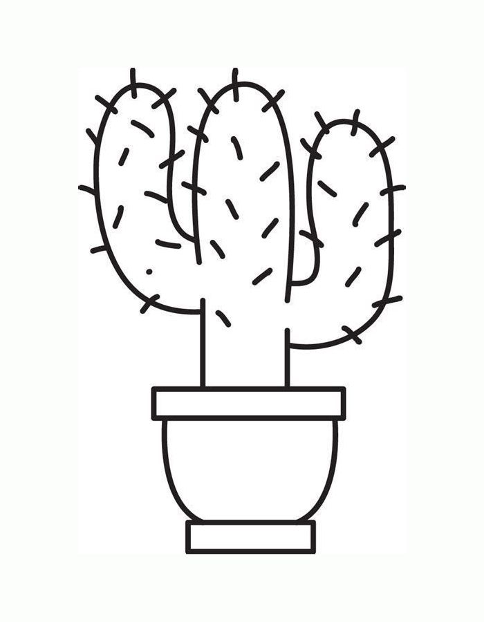 Cactus Outline Coloring Page