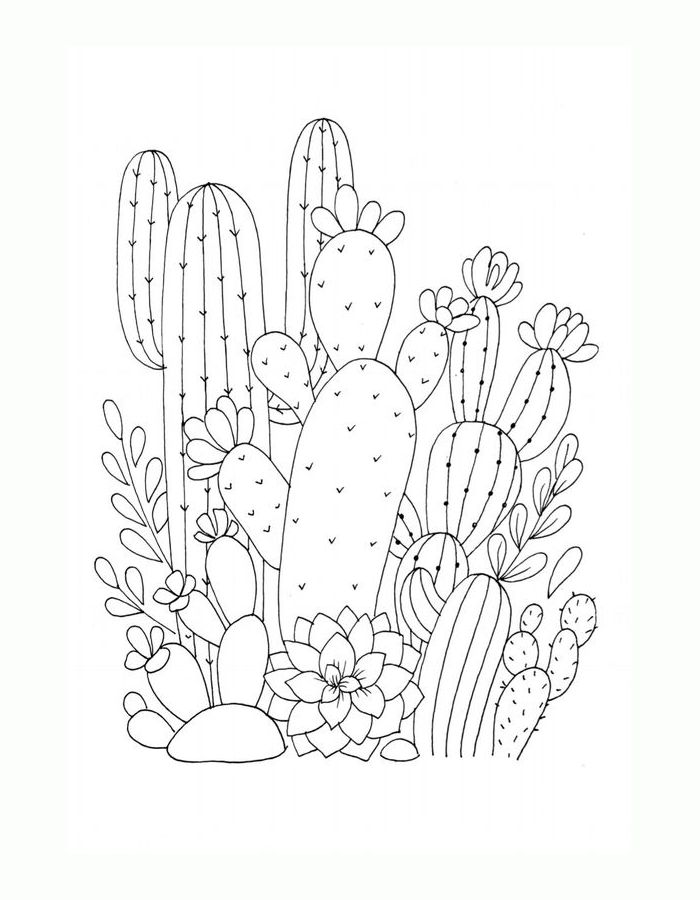 Cactus Picture To Color Coloring Page