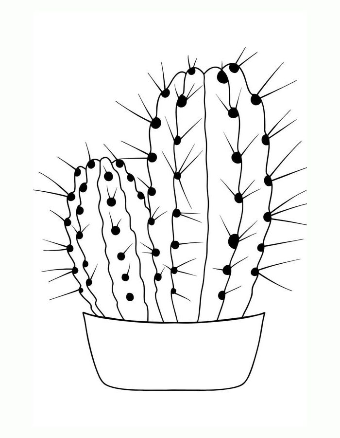 Cactus Plant Coloring Page