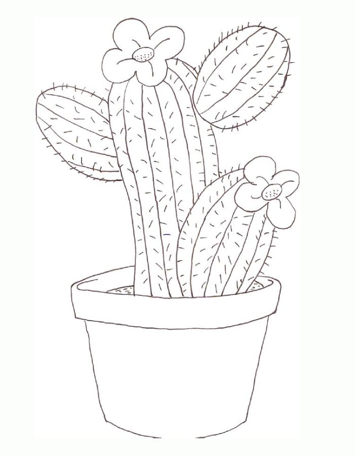 Cactus Printable Coloring Page