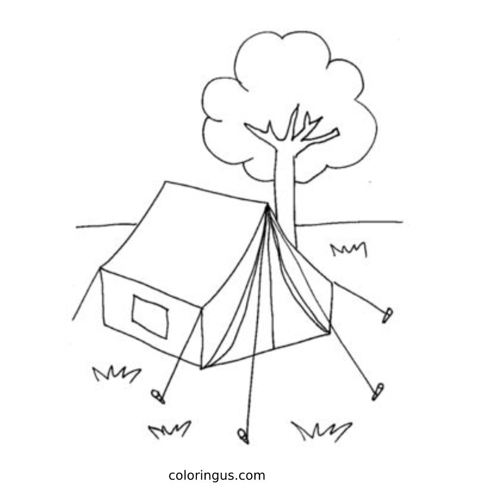 Nature tree camping