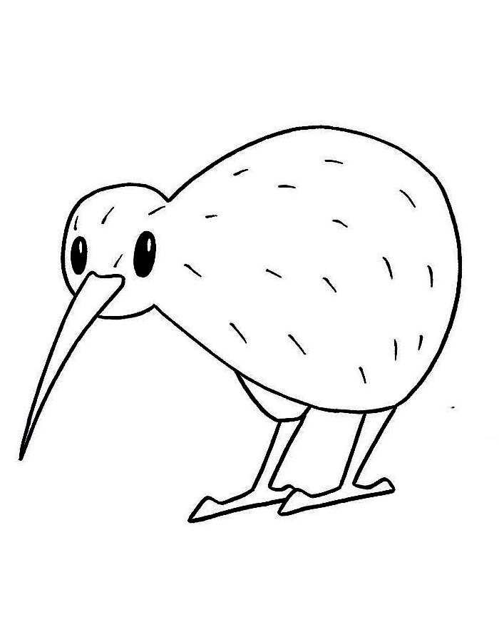 Cartoon Kiwi Bird Coloring Page