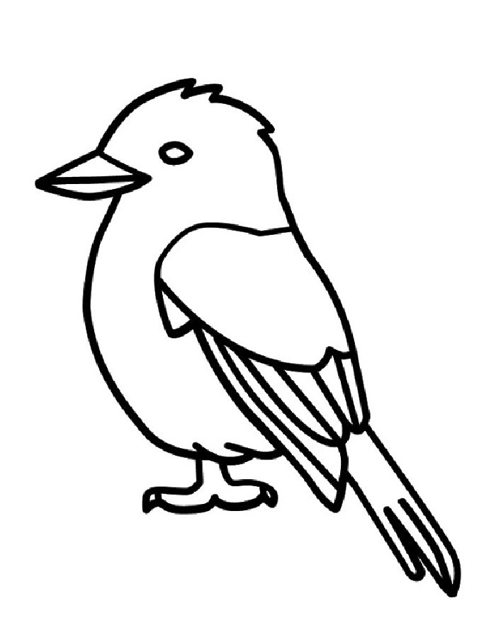 Cartoon Kookaburra Coloring Page