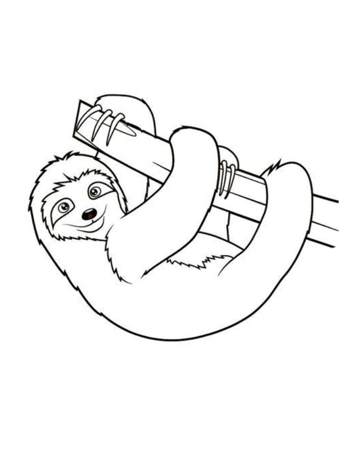 Cartoon Sloth Coloring Page