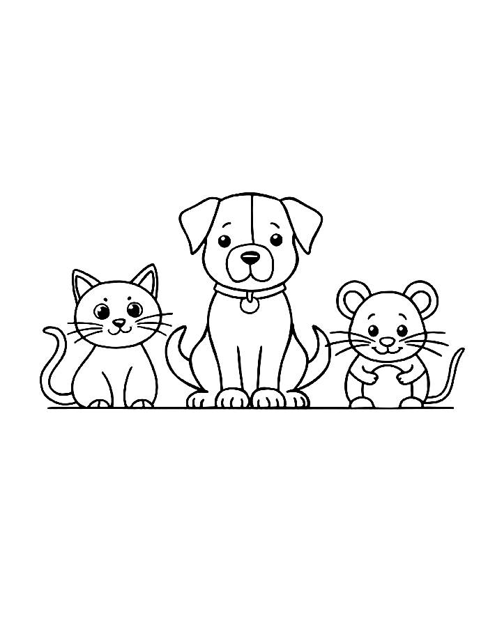 Cat Dog And Mouse Drawing Coloring Page