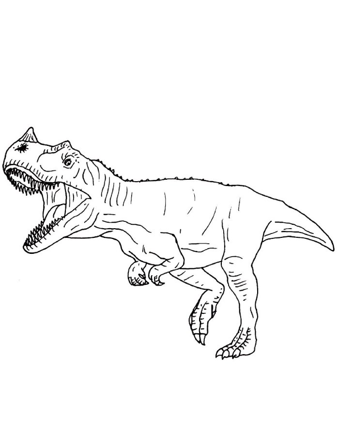 Ceratosaurus Coloring Page