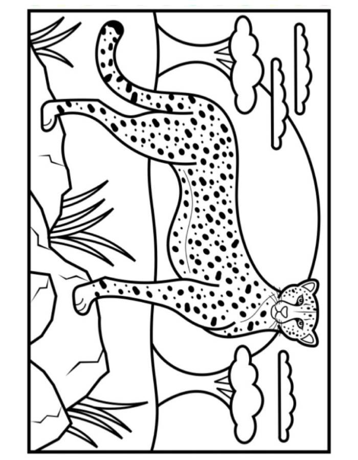 Cheetah For Kids Coloring Page