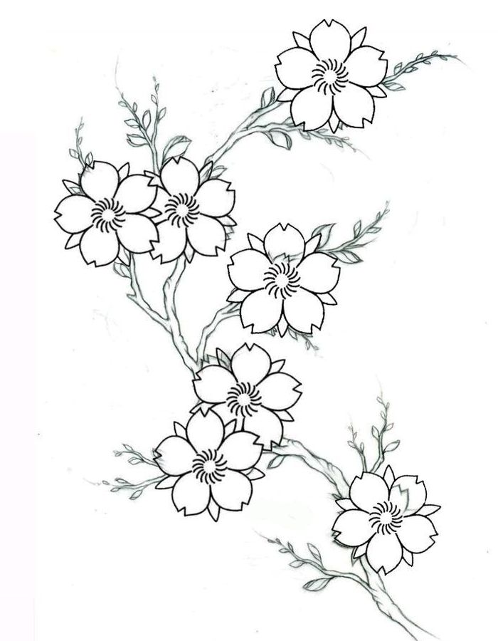 Cherry Blossom Branch Clipart