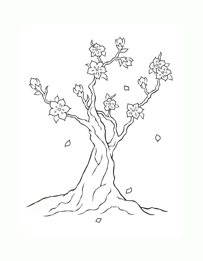Cherry Blossom Worksheet