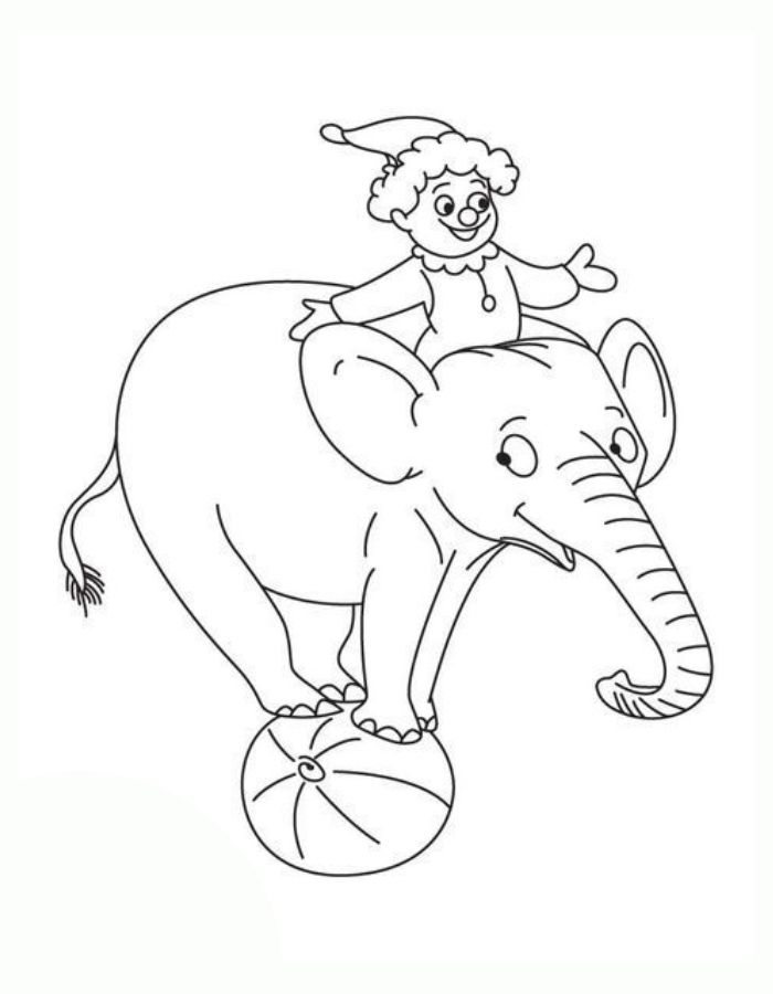 Circus Elephant Cartoon Coloring Page