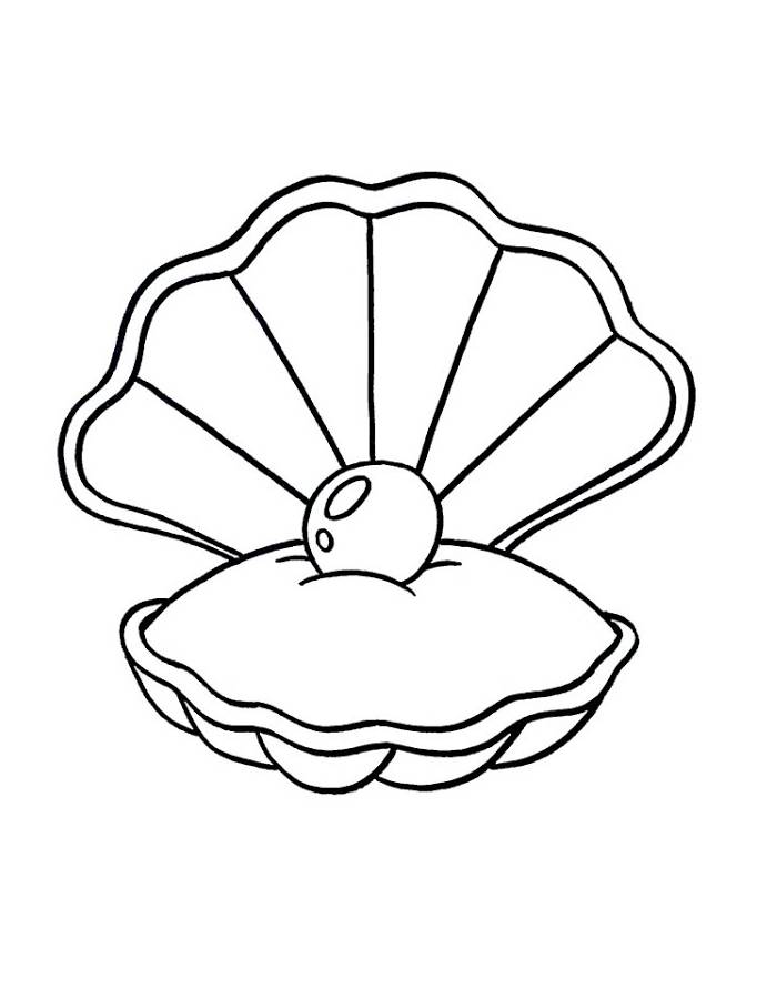 Clam Coloring Page