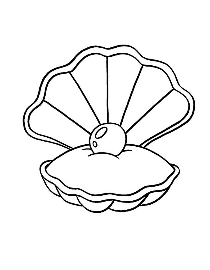 Clam Shell Coloring Page Free Printable PDF Clam Shell Coloring Page Free Printable PDF
