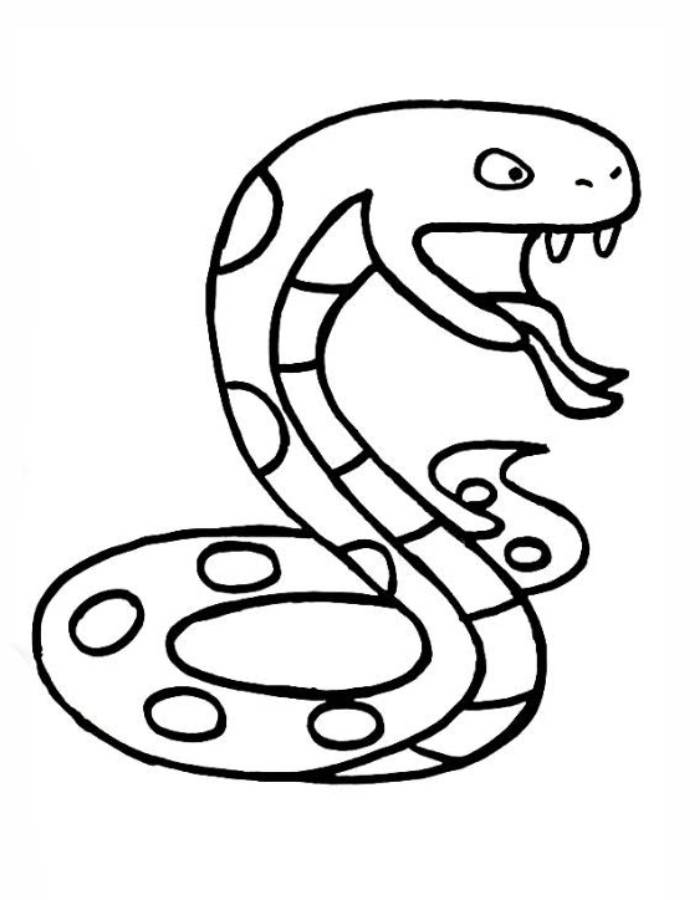 Cobra Snake Drawing Easy Coloring Page