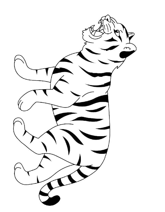 Color Picture Of A Tiger Coloring Page