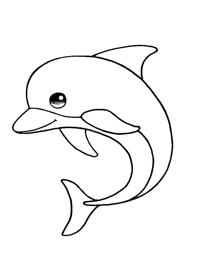 Color Pictures Of Dolphins Coloring Page