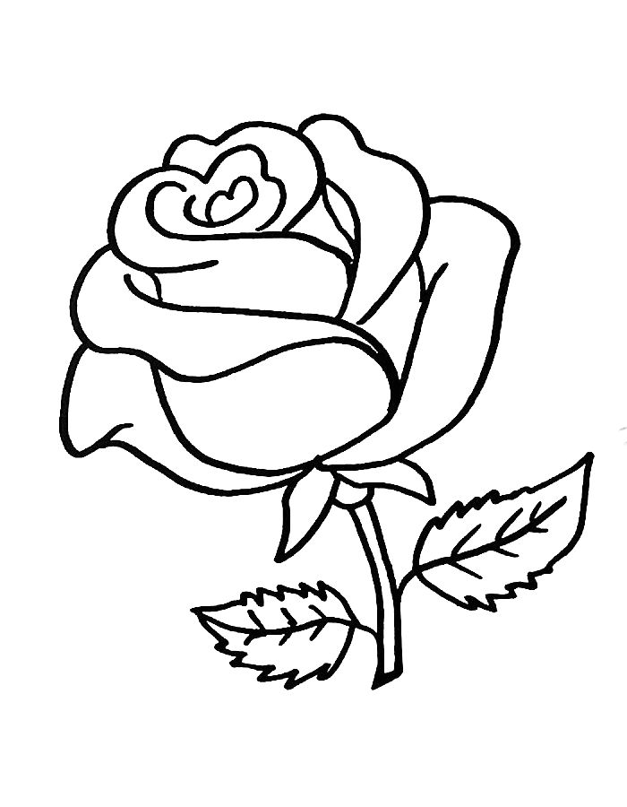 Color Pictures Of Roses Coloring Page