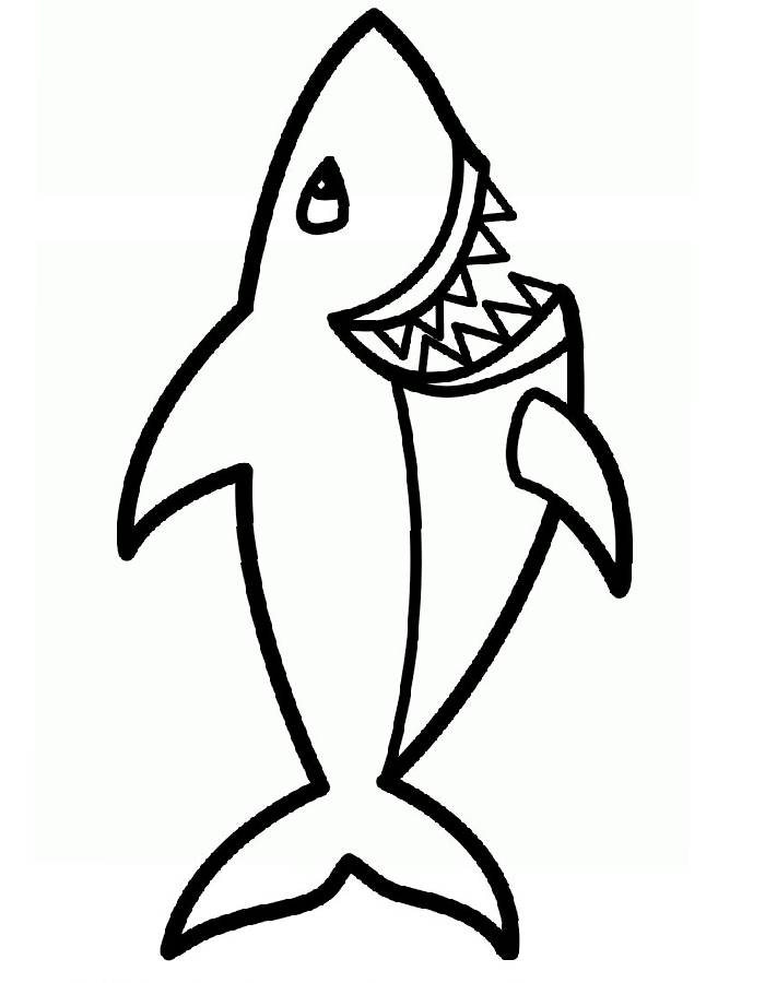 Color Shark Pictures Coloring Page