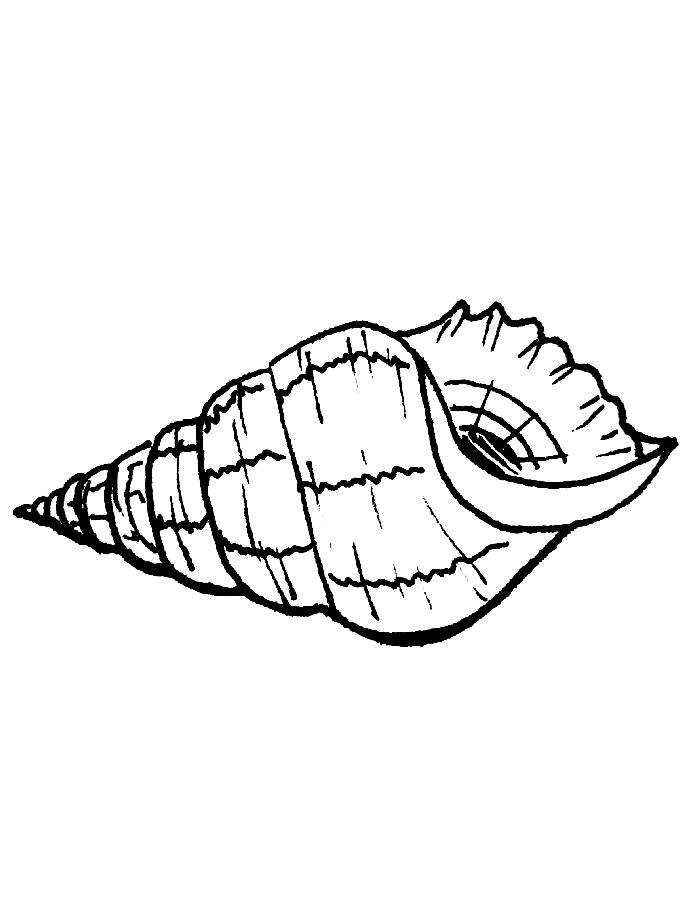 Conch Shell Easy Coloring Page