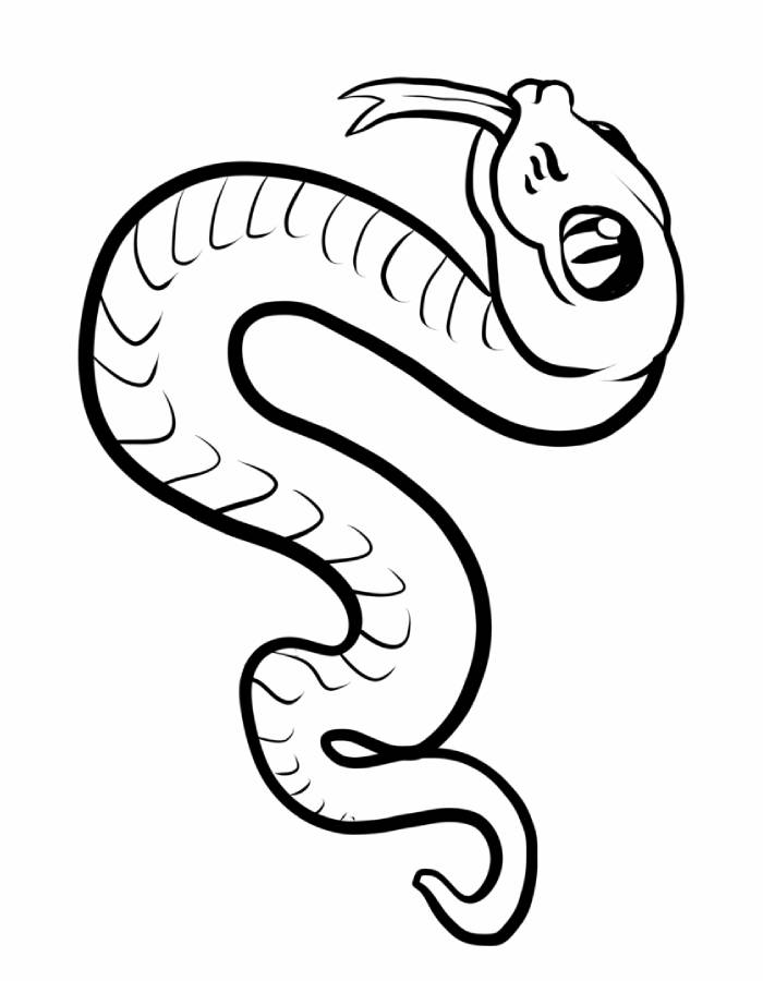 Cool Snake Coloring Page