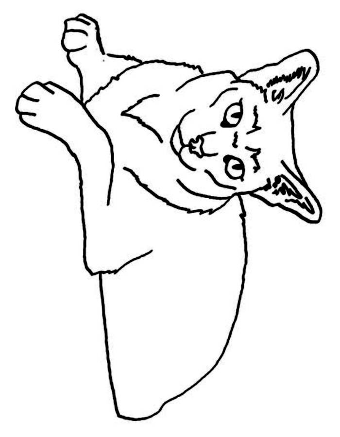 Coyote Picture Coloring Page