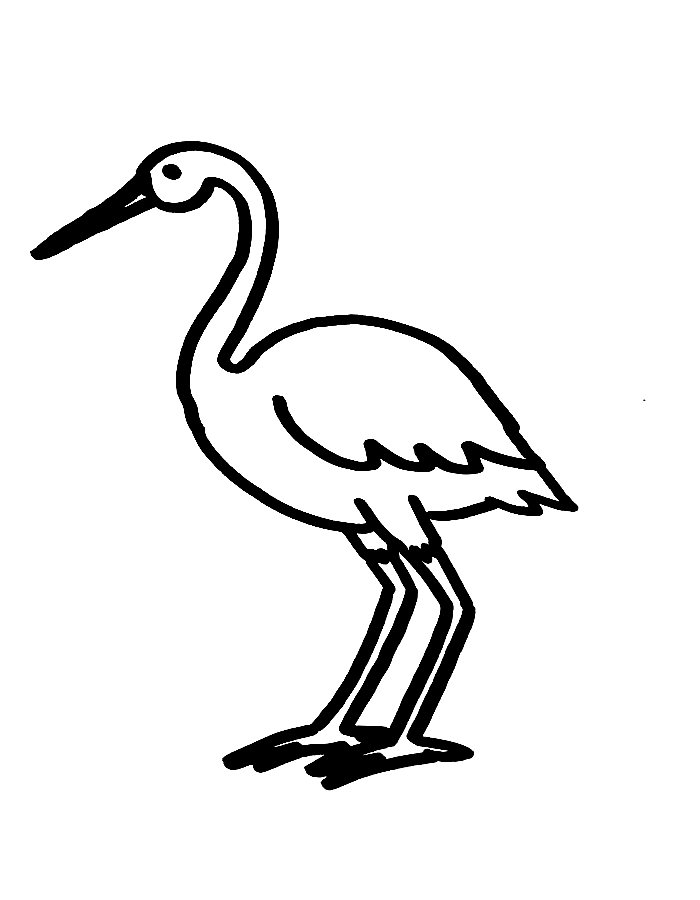 Crane Bird Coloring Page