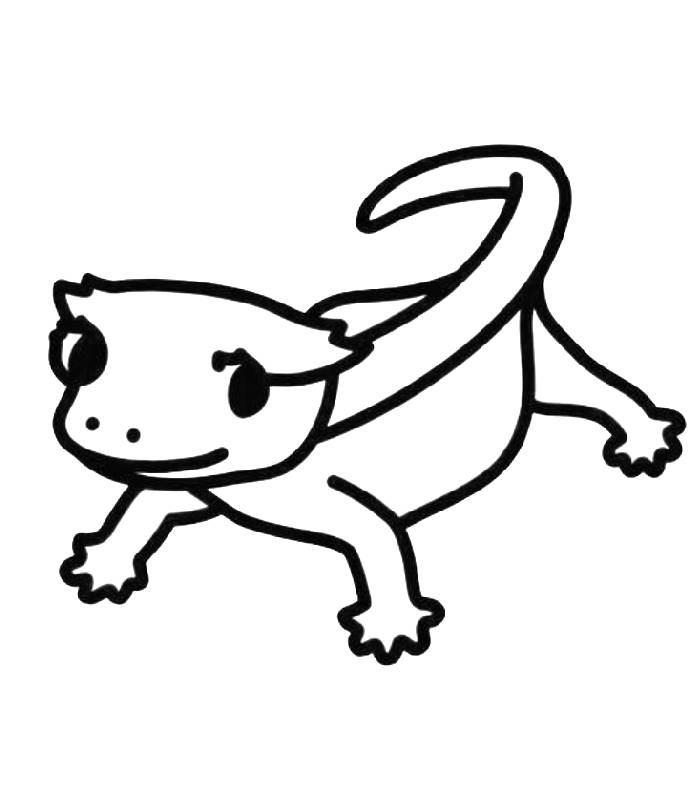 Crested gecko coloring page