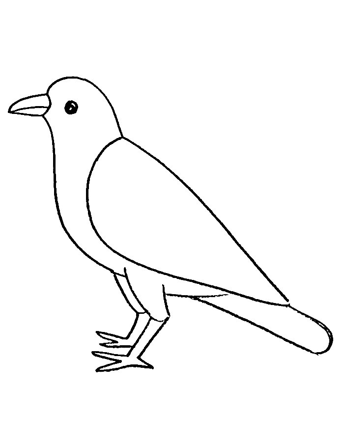 Crow Printable Coloring Page