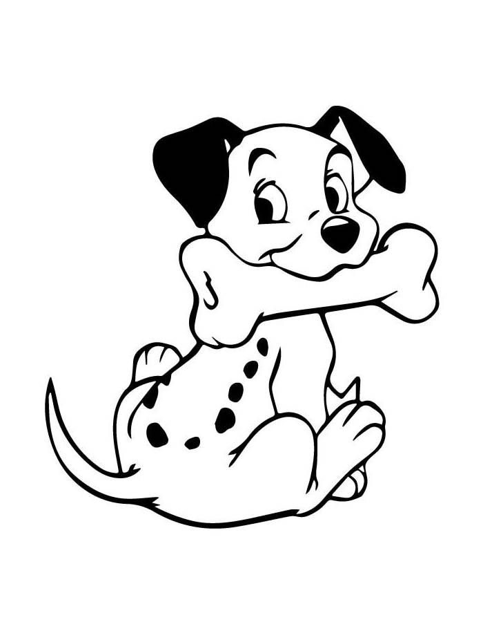 Cute 101 Dalmatians Dog