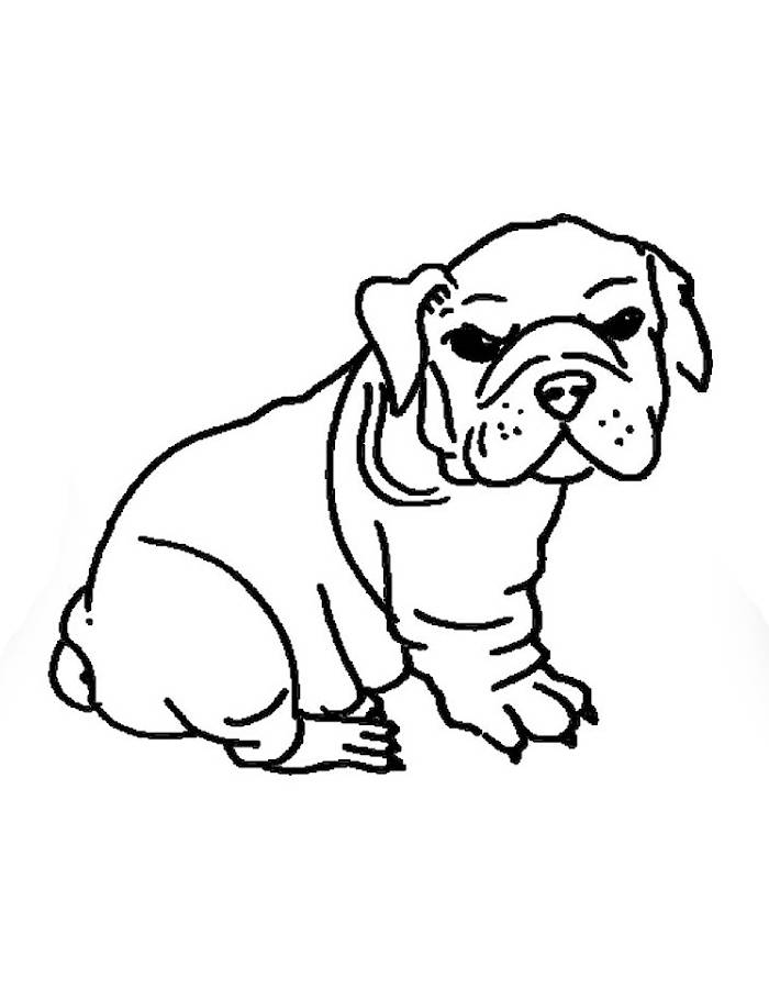 Cute American Bulldog Cute American Bulldog Coloring Page