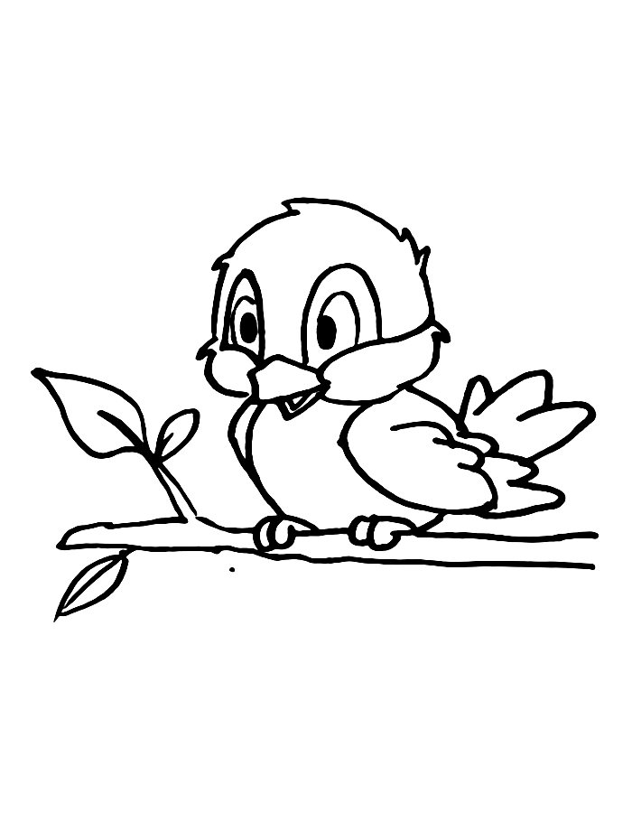 Cute Bluebird Easy Coloring Page