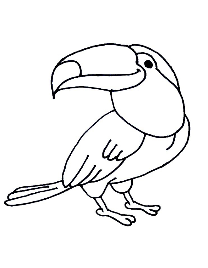 Cute Cartoon Toucan Picture Coloring Page