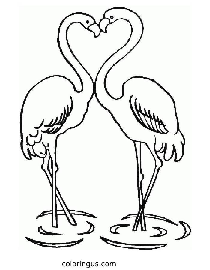 Cute Flamingo To Print Coloring Page
