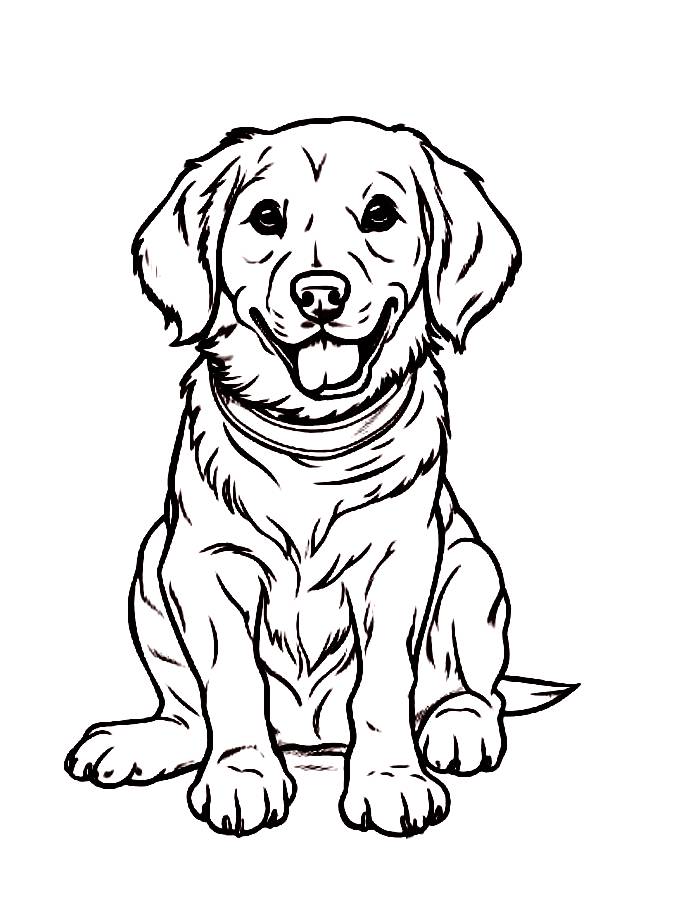 Cute Golden Retriever Free Download Coloring Page