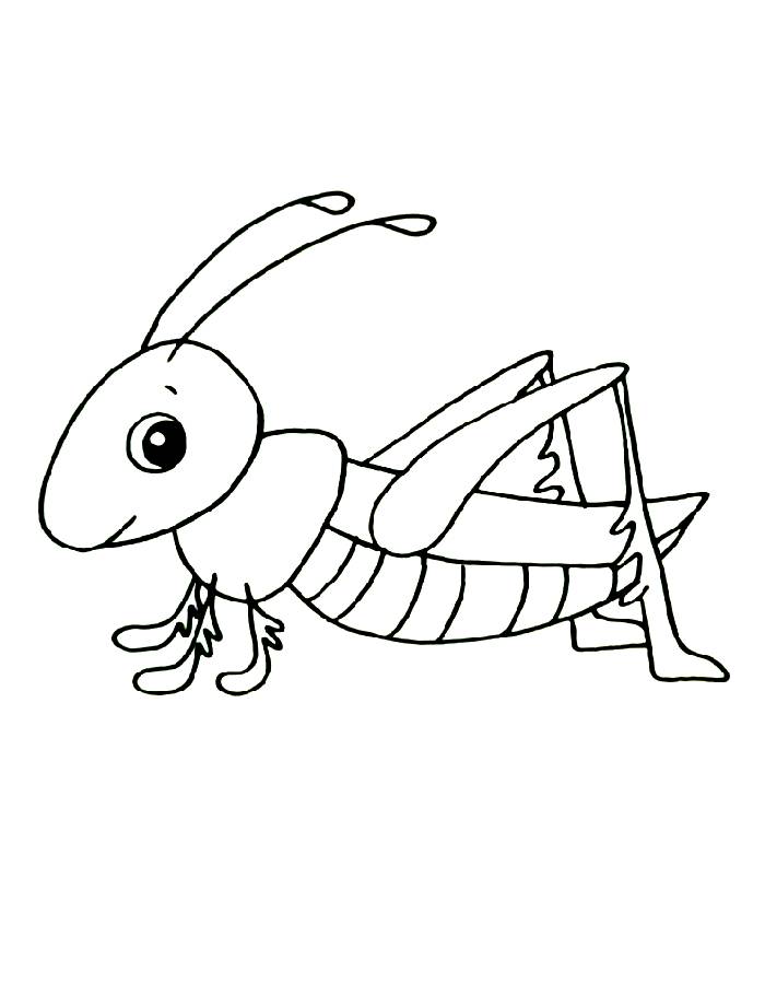 Cute Grasshopper Line Art Pdf Coloring Page