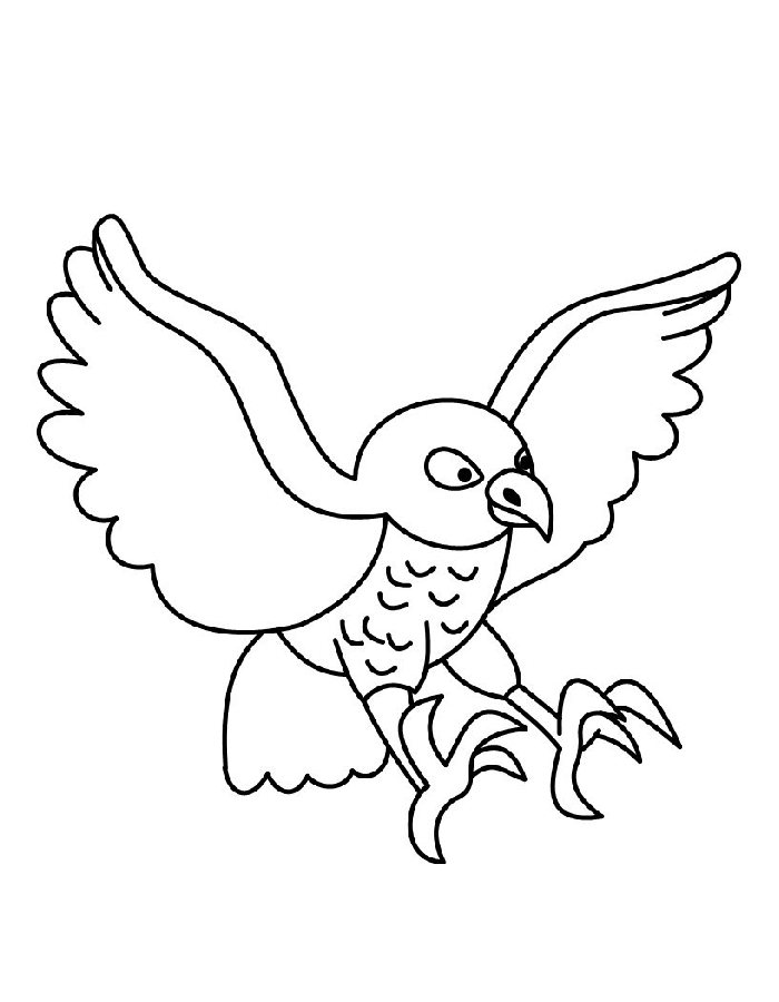 Cute Hawk Coloring Page