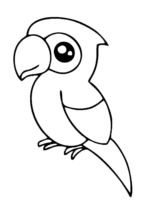 Cute Macaw Coloring Page