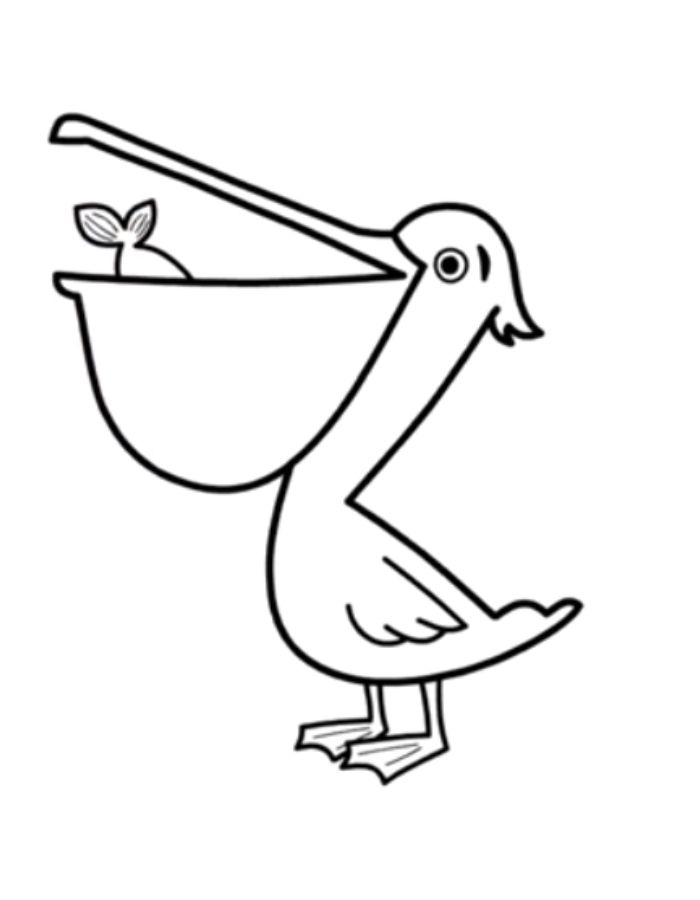 Cute Pelican Bird Cartoon Coloring Page